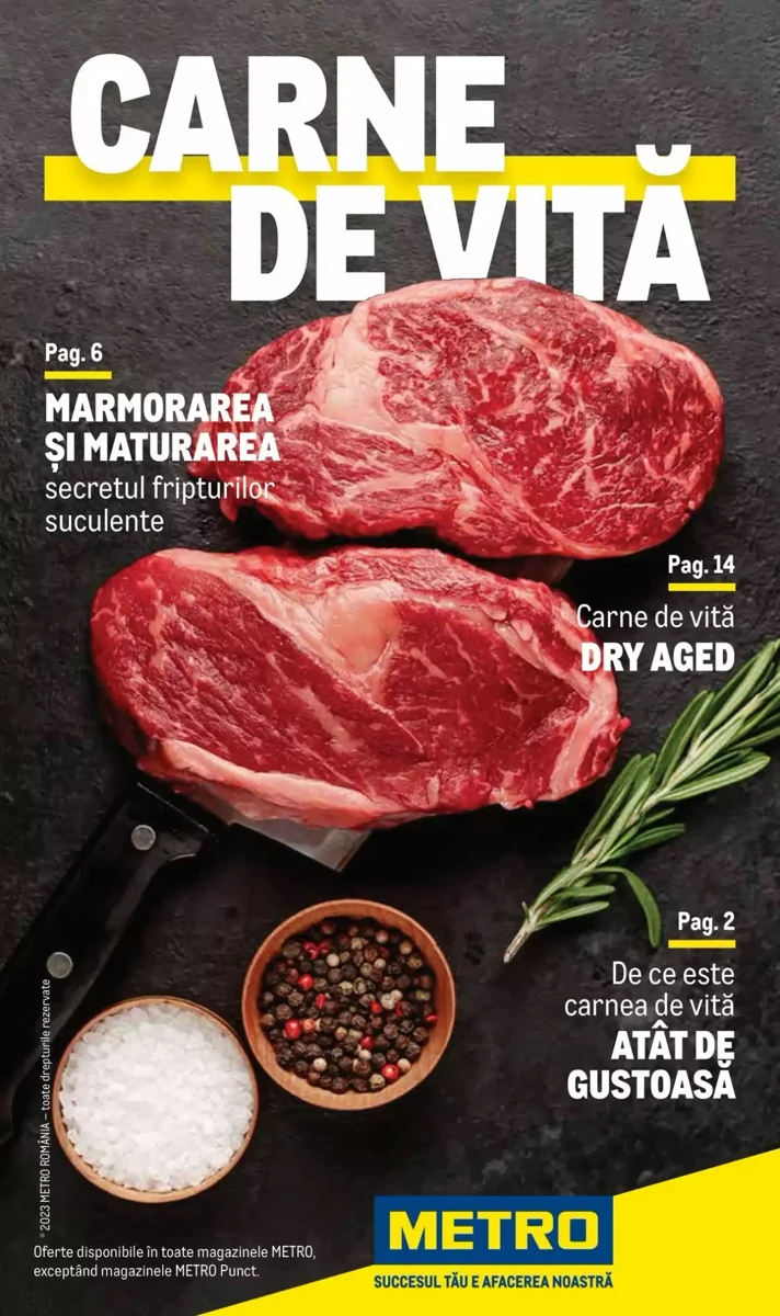 Catalog Metro